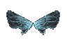 Fairy Wings