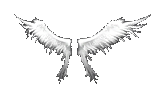 Heaven Wings